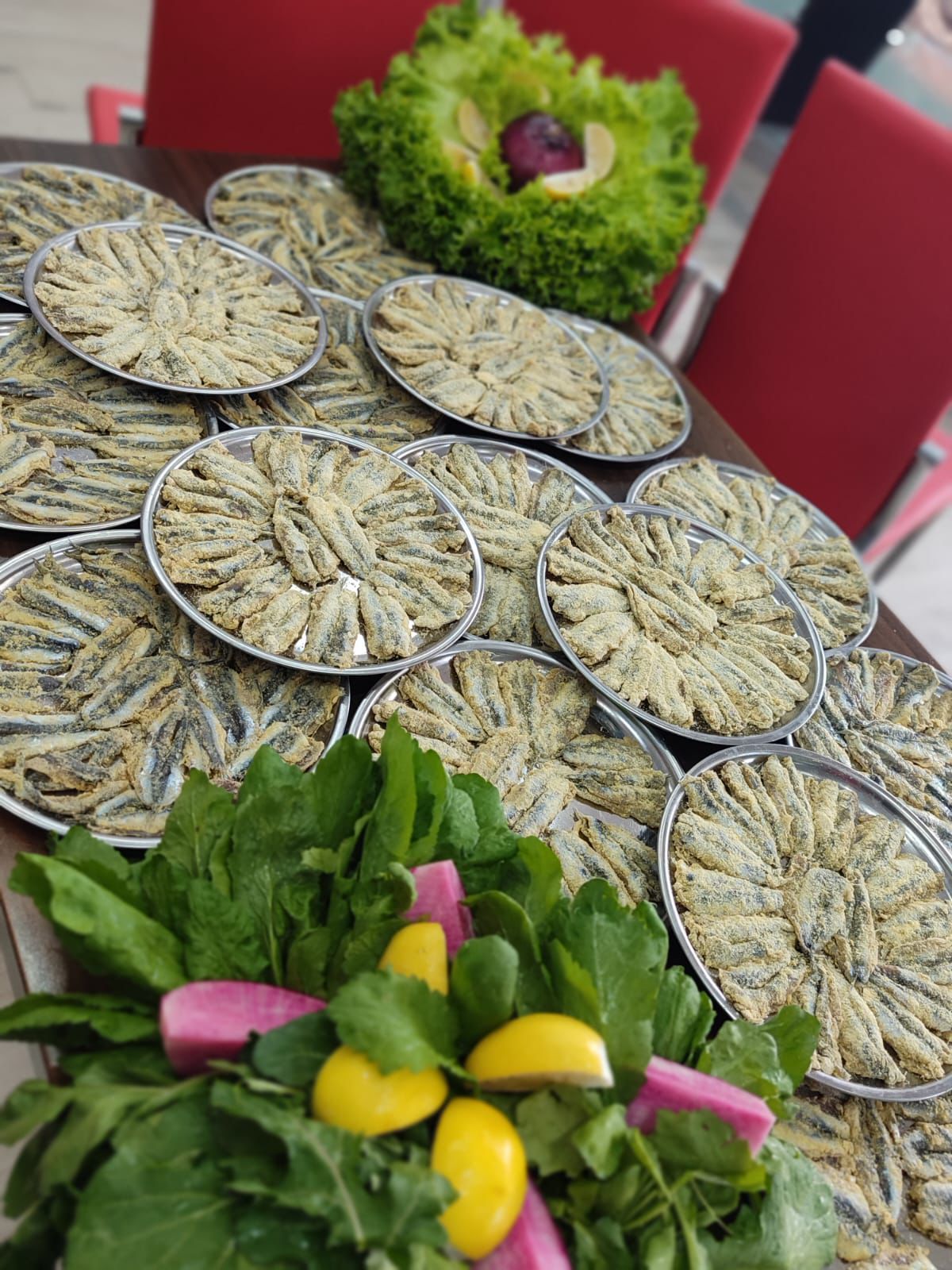 Lider Balıkçılık